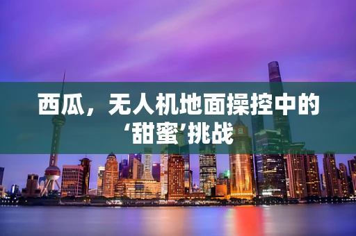 西瓜，无人机地面操控中的‘甜蜜’挑战