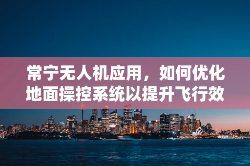 常宁无人机应用，如何优化地面操控系统以提升飞行效率？
