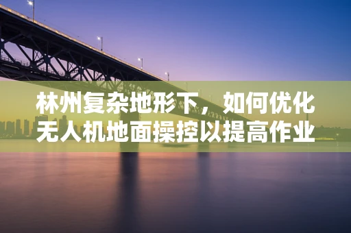林州复杂地形下，如何优化无人机地面操控以提高作业效率？