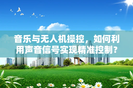 音乐与无人机操控，如何利用声音信号实现精准控制？