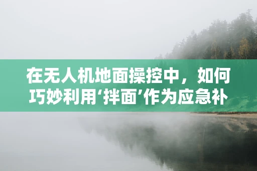 在无人机地面操控中，如何巧妙利用‘拌面’作为应急补给方案？