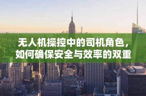 无人机操控中的司机角色，如何确保安全与效率的双重保障？