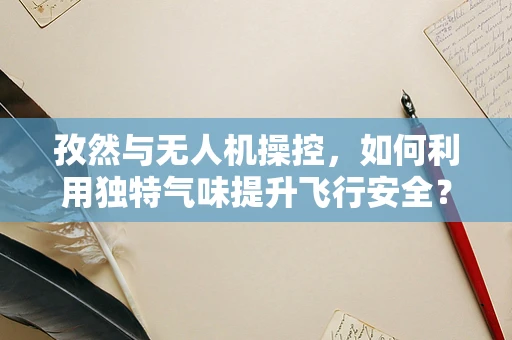 孜然与无人机操控，如何利用独特气味提升飞行安全？