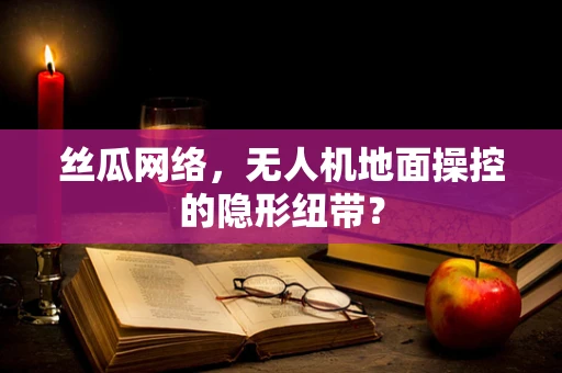 丝瓜网络，无人机地面操控的隐形纽带？