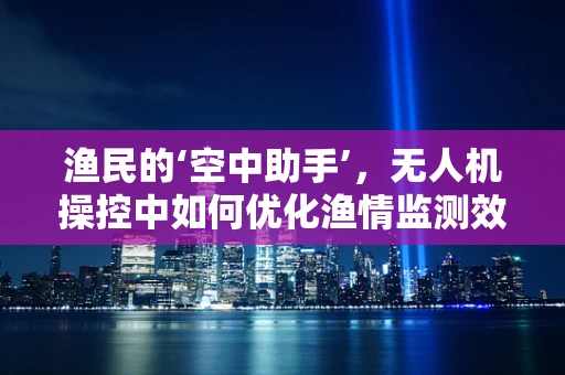 渔民的‘空中助手’，无人机操控中如何优化渔情监测效率？