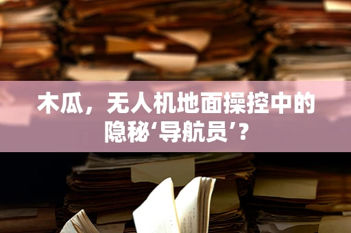 木瓜，无人机地面操控中的隐秘‘导航员’？