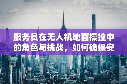 服务员在无人机地面操控中的角色与挑战，如何确保安全与效率的双重保障？
