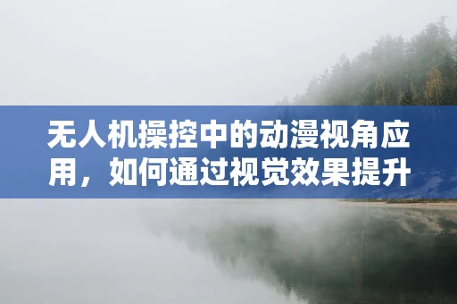 无人机操控中的动漫视角应用，如何通过视觉效果提升操控体验？