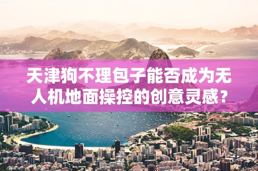 天津狗不理包子能否成为无人机地面操控的创意灵感？
