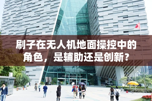 刷子在无人机地面操控中的角色，是辅助还是创新？