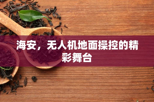 海安，无人机地面操控的精彩舞台