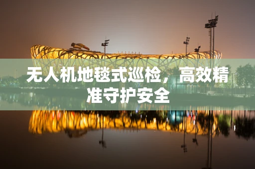 无人机地毯式巡检，高效精准守护安全