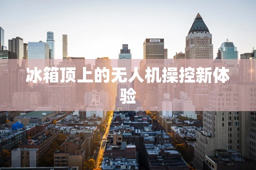 冰箱顶上的无人机操控新体验