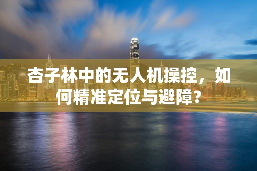 杏子林中的无人机操控，如何精准定位与避障？