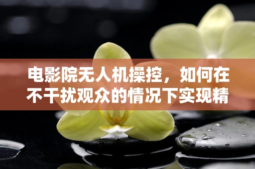 电影院无人机操控，如何在不干扰观众的情况下实现精准定位？