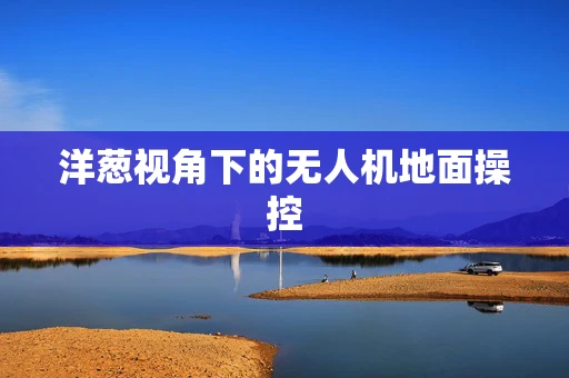 洋葱视角下的无人机地面操控