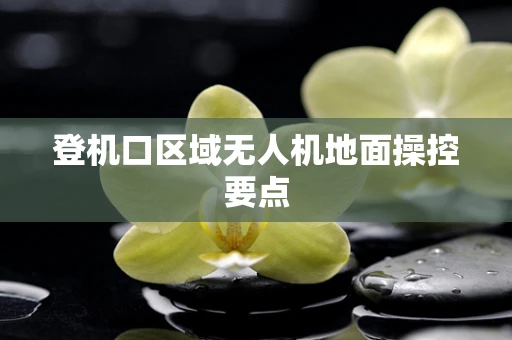 登机口区域无人机地面操控要点
