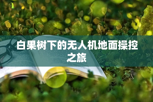 白果树下的无人机地面操控之旅