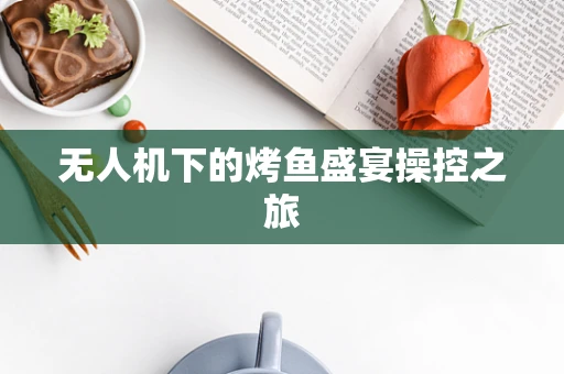 无人机下的烤鱼盛宴操控之旅