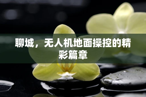 聊城，无人机地面操控的精彩篇章