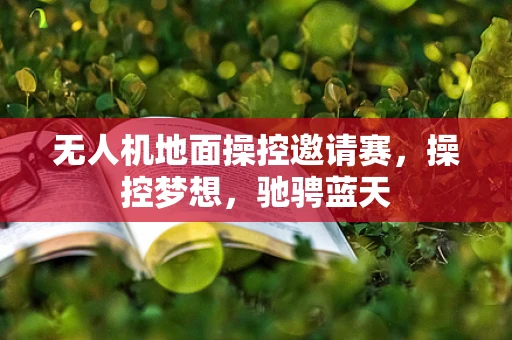无人机地面操控邀请赛，操控梦想，驰骋蓝天