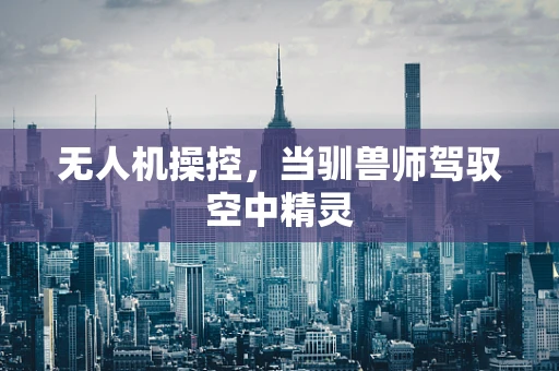 无人机操控，当驯兽师驾驭空中精灵