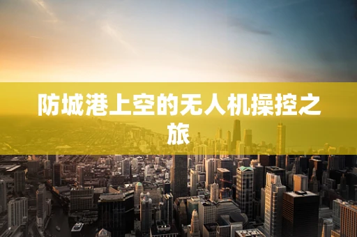 防城港上空的无人机操控之旅