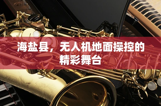 海盐县，无人机地面操控的精彩舞台