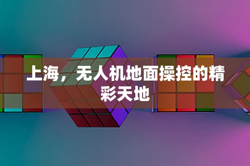 上海，无人机地面操控的精彩天地