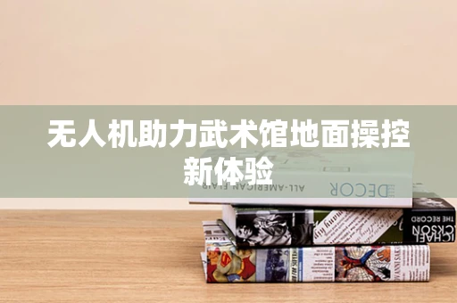 无人机助力武术馆地面操控新体验