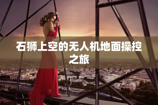 石狮上空的无人机地面操控之旅