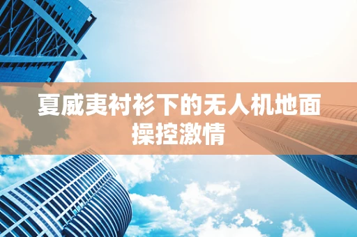 夏威夷衬衫下的无人机地面操控激情