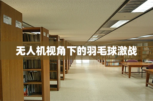 无人机视角下的羽毛球激战