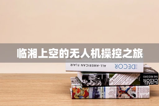 临湘上空的无人机操控之旅