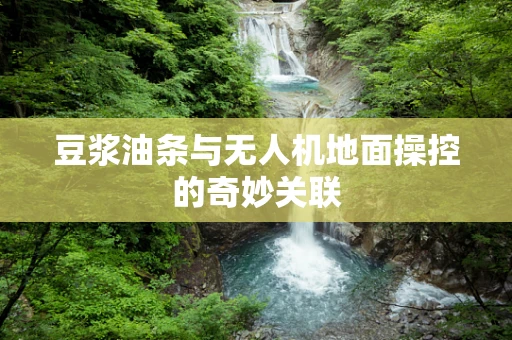 豆浆油条与无人机地面操控的奇妙关联