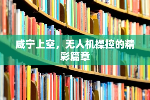 咸宁上空，无人机操控的精彩篇章