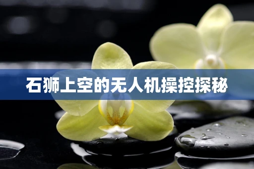 石狮上空的无人机操控探秘