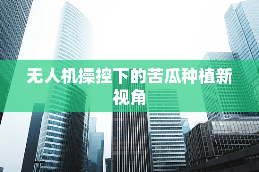 无人机操控下的苦瓜种植新视角