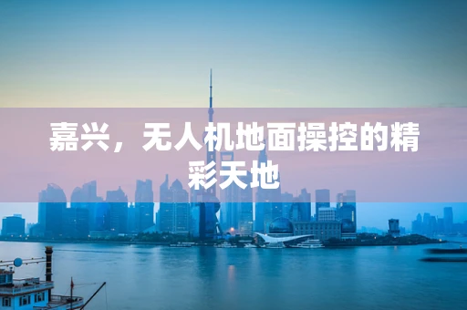 嘉兴，无人机地面操控的精彩天地