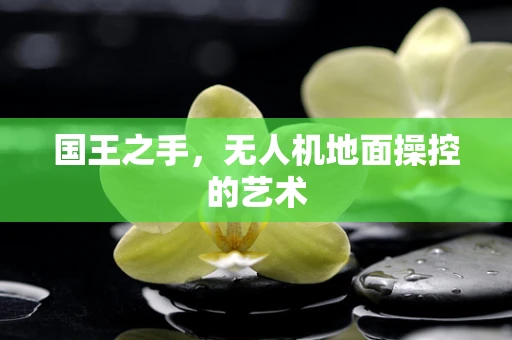国王之手，无人机地面操控的艺术