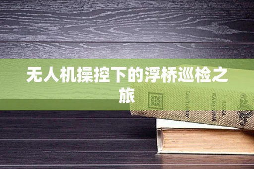 无人机操控下的浮桥巡检之旅