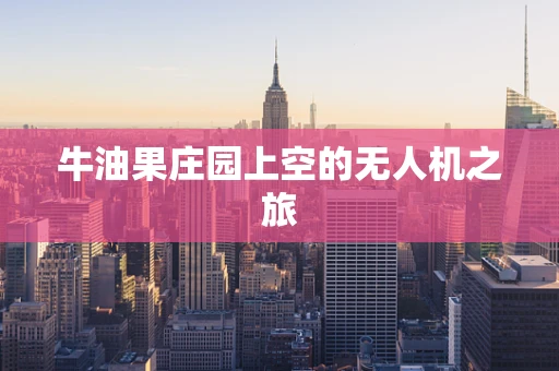 牛油果庄园上空的无人机之旅