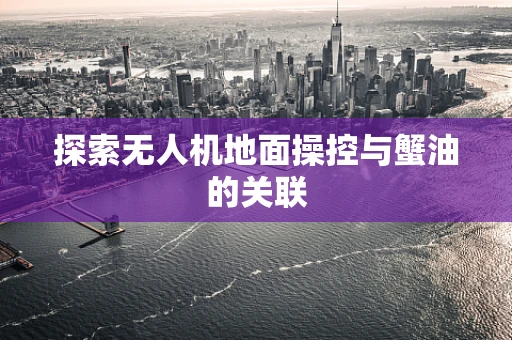 探索无人机地面操控与蟹油的关联