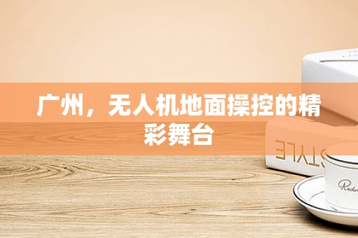 广州，无人机地面操控的精彩舞台