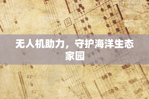 无人机助力，守护海洋生态家园