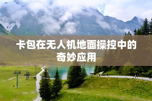 卡包在无人机地面操控中的奇妙应用