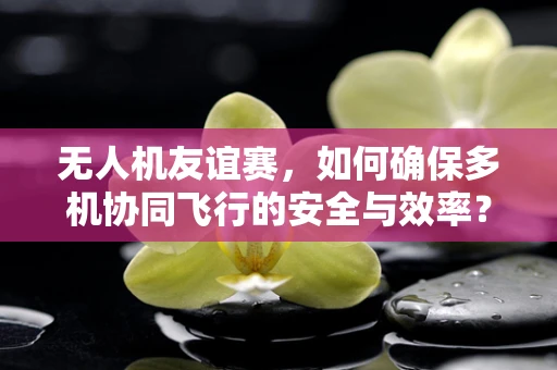 无人机友谊赛，如何确保多机协同飞行的安全与效率？