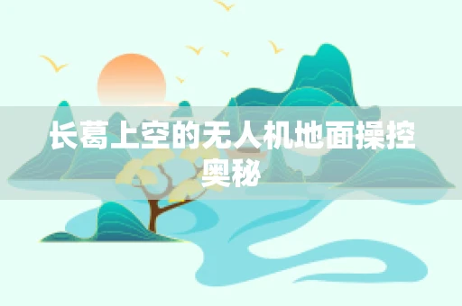 长葛上空的无人机地面操控奥秘