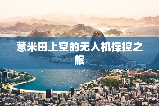 薏米田上空的无人机操控之旅
