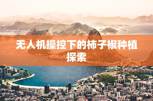 无人机操控下的柿子椒种植探索